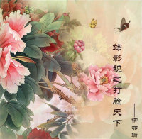 综影视之打脸天下